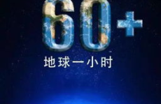 世界一小时,世界一小时环保行动纪实