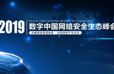 中国网络,中国网络发展历程与现状概述