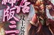 三国类小说,英雄辈出，智勇传奇