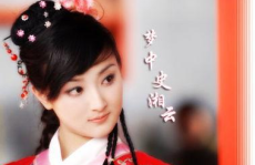 大丫鬟小说,大丫鬟的华丽蜕变