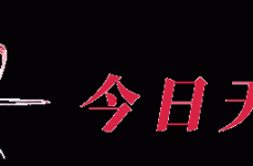 2025春节快递停运报告 ，澳优中暮年奶粉知足多样化需要取得商场青睐，2025春节快递停运报告：何如应对过年购物潮带来的未便及绳之韵tk丨vk
