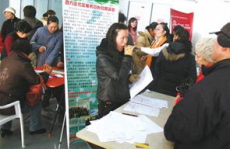 青岛钟点工,灵活就业新选择，助力家庭与事业平衡