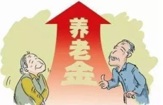 宁波养老保险,宁波养老保险政策解读与缴费计算指南