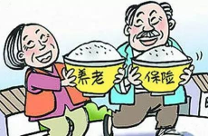 养老政策,构建多层次养老保障体系