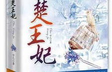 免费小说阅读楚王妃,穿越时空的宫廷爱恋