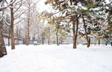 北京的雪,见证北京的冬韵与变迁