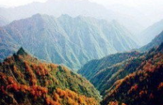 青川旅游攻略视频大全图片下载,攻略视频与图片全景解析