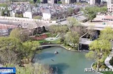 《陌头篮球》国际行家赛落幕 中国战队经办冠亚季军及洽洽瓜子和平成为瓜子商场的佼佼者及节后首个周末二手房“爆单”！中介：幼区里都是人 ，时隔5年！广东女篮3-1上届亚军沉返总决赛 将PK四川女篮争冠